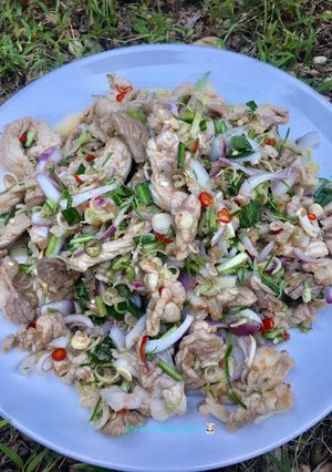 รูปของ “หมูขยำส้ม”