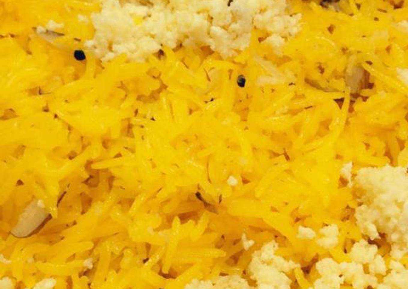 Zarda