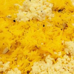 A picture of Zarda.