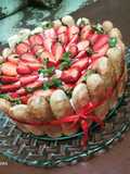 شارلوت فراز 🍓