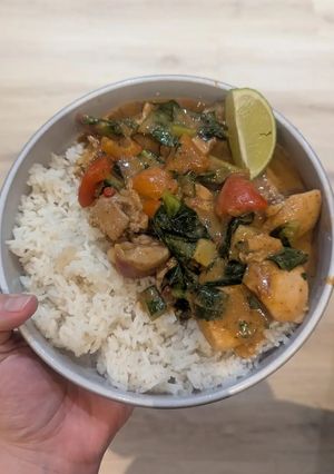 A picture of Chicken Massaman Curry with Jasmine Rice.