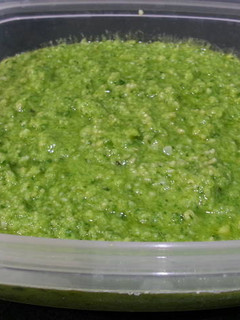 A picture of Pesto sauce with cashew nuts.