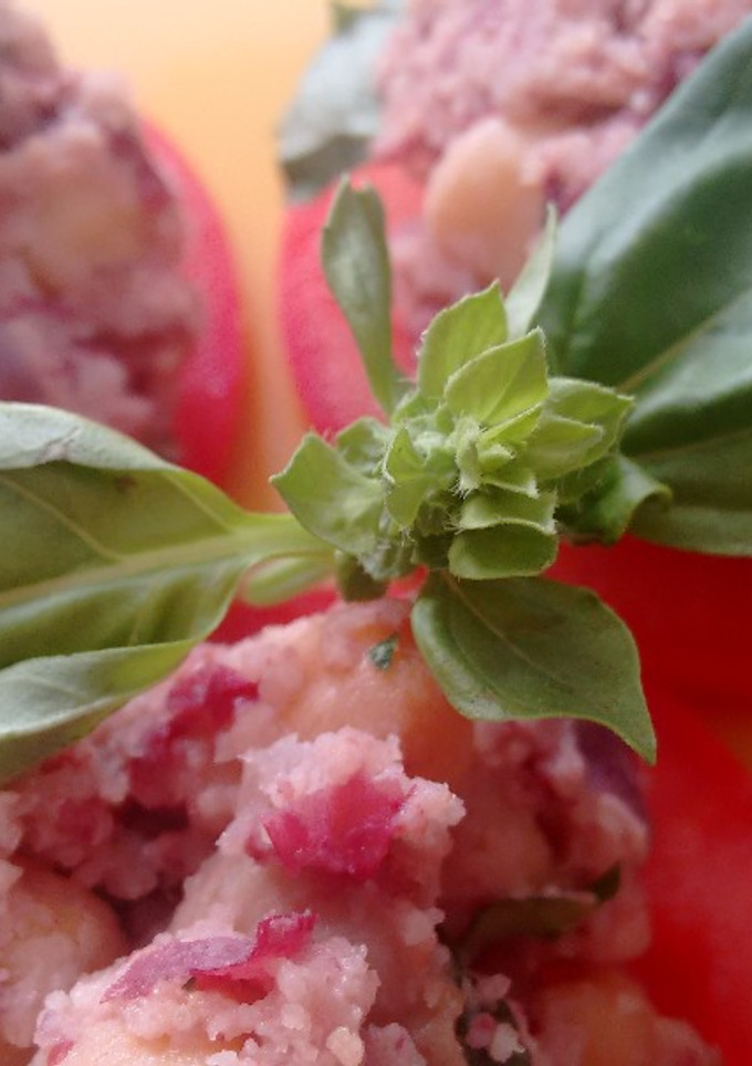 Una foto de Tapas de tomate con paté de alubias Rojas, cilantro y albahaca enriquecidas con Agua de Mar