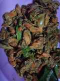 Harmis/kerang