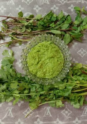 ફુદીના કોથમીર ની ચટણી (Pudina Coriander Chutney Recipe In Gujarati) રેસીપી મુખ્ય ફોટો