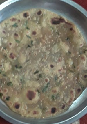 A picture of Methi thepla.