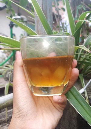 Hình của món Nước nha đam đường Thốt Nốt.