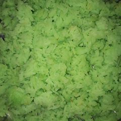 A picture of Sweet Rice.