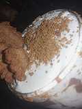 Creamy chocolate custard with candi biscuit