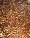 Cochinita Pibíl