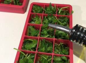 Una foto de Conservando el Cilantro en Oliva