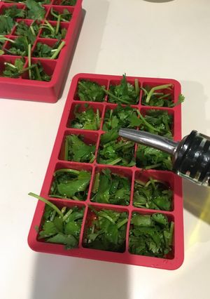 Una foto de Conservando el Cilantro en Oliva