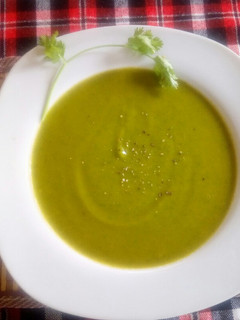 A picture of Butternut with spinach soup.