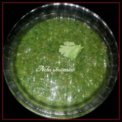 A picture of Coriander mint chutney.