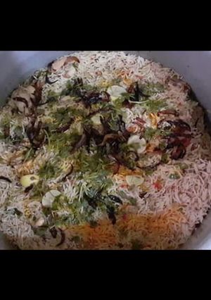 A picture of Chicken degi biryani.