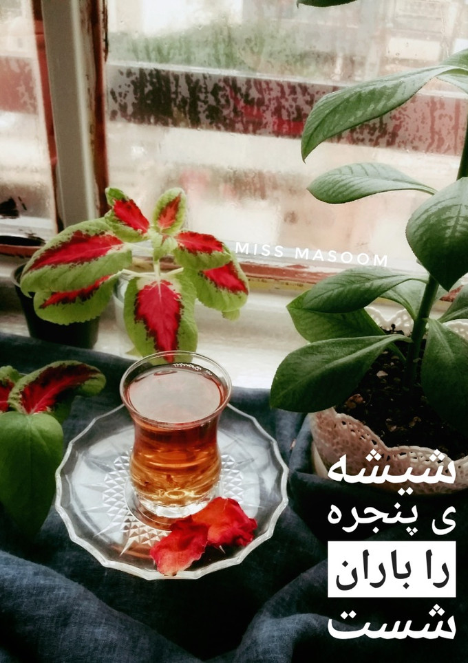 عکسی از دستور دمنوش سیب و به