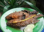 Gambar mujaer bumbu bali