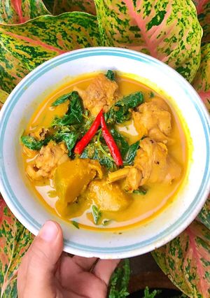 รูปของ แกงเผ็ดไก่ใส่ฟักทองใบยี่หร่า