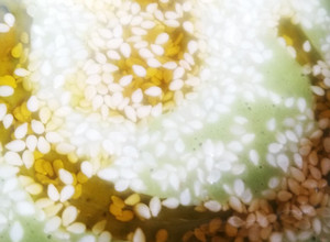 Una foto de Dressing de albahaca, aceite de oliva y semillas de sésamo