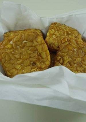 Foto resep Tempe Goreng Bacem (Asin)
