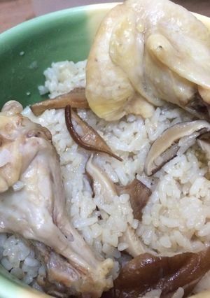 電鍋 香菇麻油雞飯 的食譜成品照片