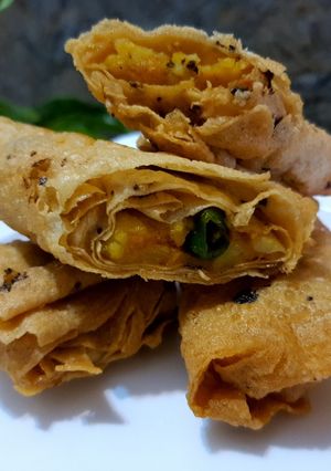 A picture of Papad Rolls💕.