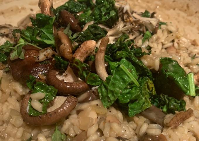 Creamy mixed mushroom risotto