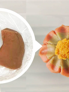 A picture of Nerikiri-Wagashi like sweet "Gazania" made from chestnut puree.