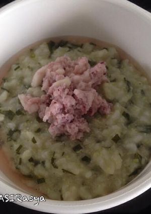 Foto resep Bubur Nasi Kang Mame - mpasi 8+