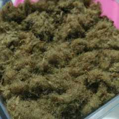 รูปของ ABON SAPI HOMEMADE. untuk MPASI 7m+