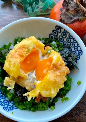 A picture of Japanese  Egg Tempra.