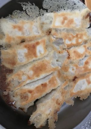 A picture of Pan-Fried Potstickers.