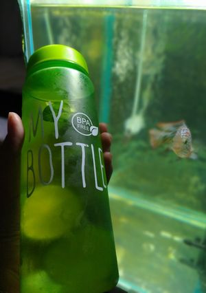 Foto resep Infus water jeruk nipis madu dan daun mint
