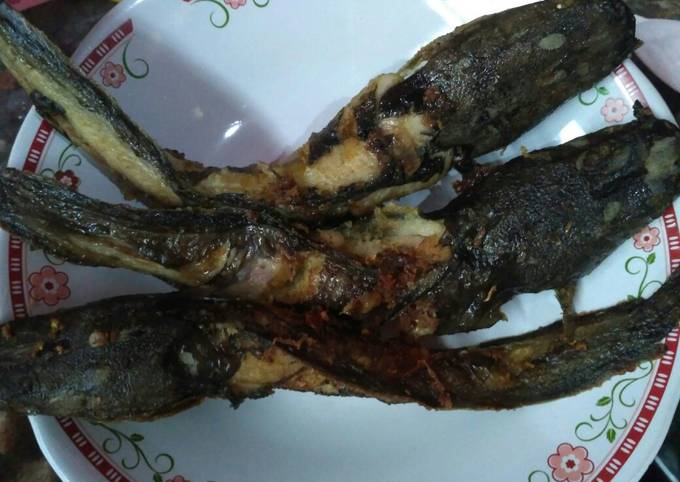 Lele goreng bakar yummy #seninsemangat