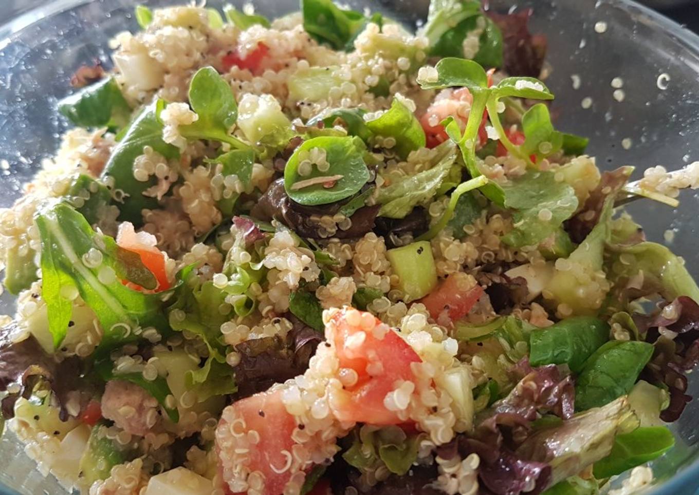 Ensalada de quinoa, atún y brotes antiox