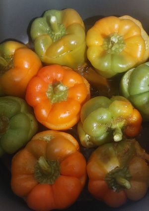عکسی از دستور دلمه فلفل دلمه ای