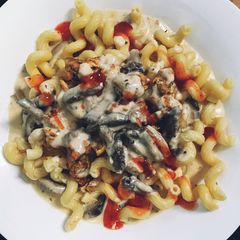 Chicken pasta with sauce Bechamel A picture of Chicken pasta with sauce Bechamel.