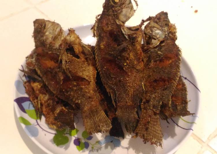Ikan Mujair Goreng Garing