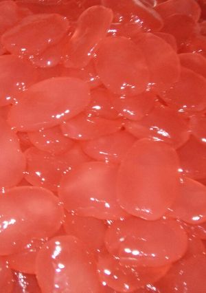 Foto resep Manisan kolang kaling