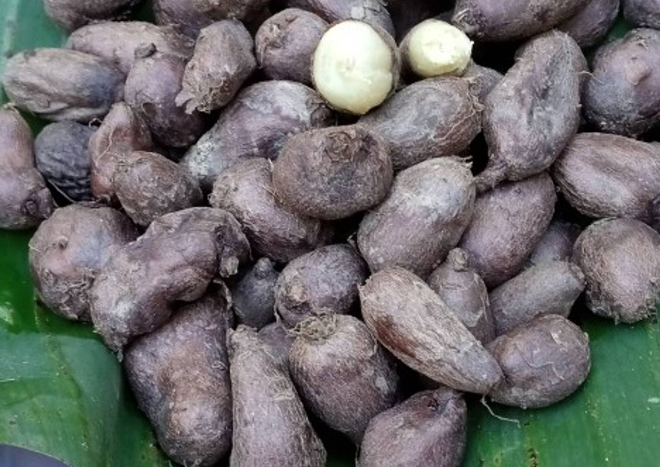 Kentang Ireng kukus