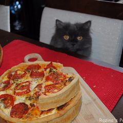 A picture of Tomato quiche.