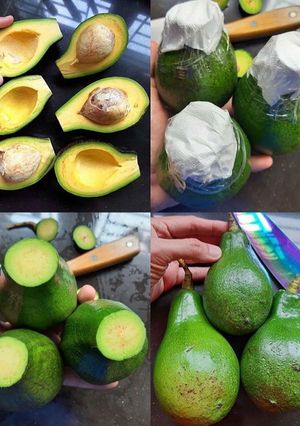 Foto resep Tips agar alpukat matang sempurna