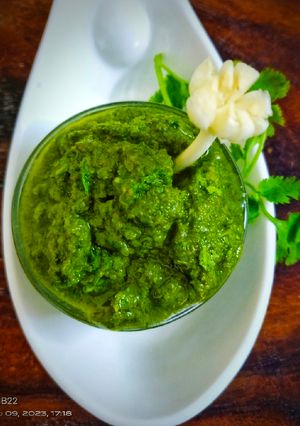 લીલા લસણ ફૂદીના ચટણી (Lila Lasan Pudina Chutney Recipe In Gujarati) રેસીપી મુખ્ય ફોટો
