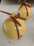 Les entremets royales oranges chocolats