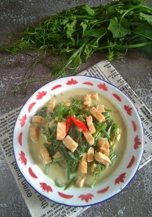 Foto resep Sayur tempe daun pucuk labu siam