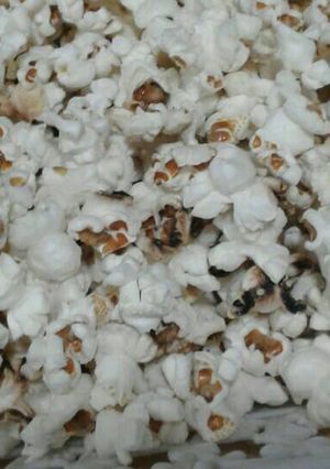 صورة لوصفة بوشار