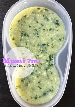 Foto resep Mpasi 7m+ Bubur Nasi Ayam TOBAYUH