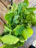 Pesto di erbe e fiori