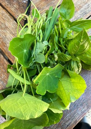 Foto di Pesto di erbe e fiori