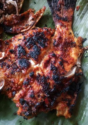 Foto resep Kakap Bakar Merah Pedas